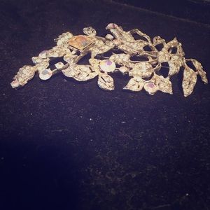 Beautiful jeweled brooch